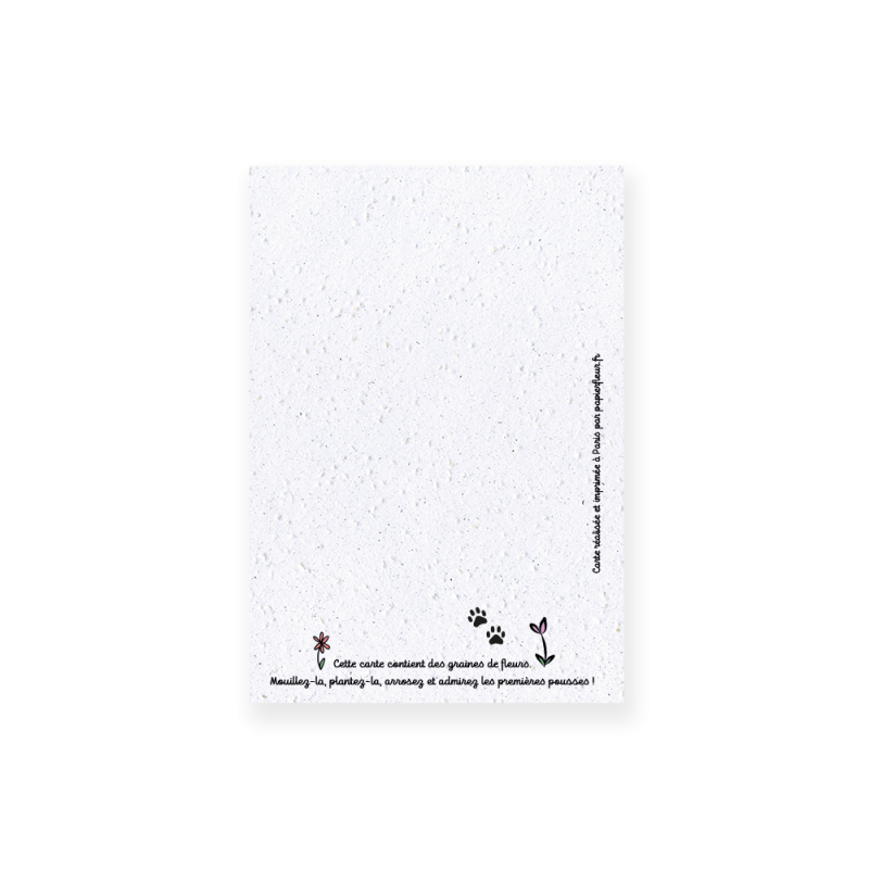 Carte à planter chat - Je pense à toi | Papierfleur.fr, le papier qui fleurit