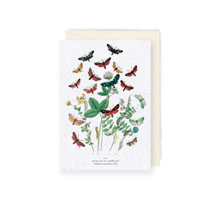 Carte à planter - Papillons et chenilles | Papierfleur.fr, le papier qui fleurit