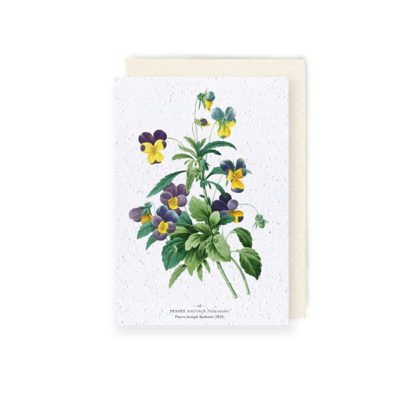 Carte à planter - Pensée sauvage | Papierfleur.fr, le papier qui fleurit