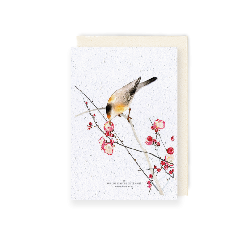 Carte à planter - Sur une branche de cerisier | Papierfleur.fr, le papier qui fleurit