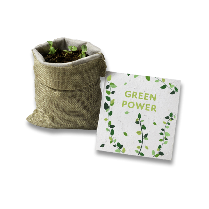 Kit à planter -Green Power | Papierfleur.fr, le papier qui fleurit