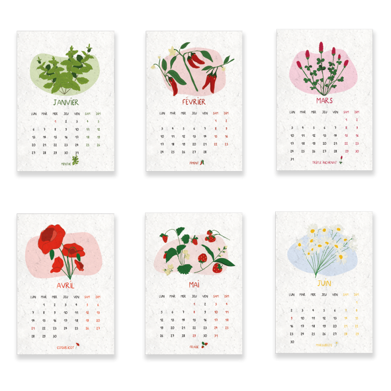Calendrier à planter 2025, Jardin du temps