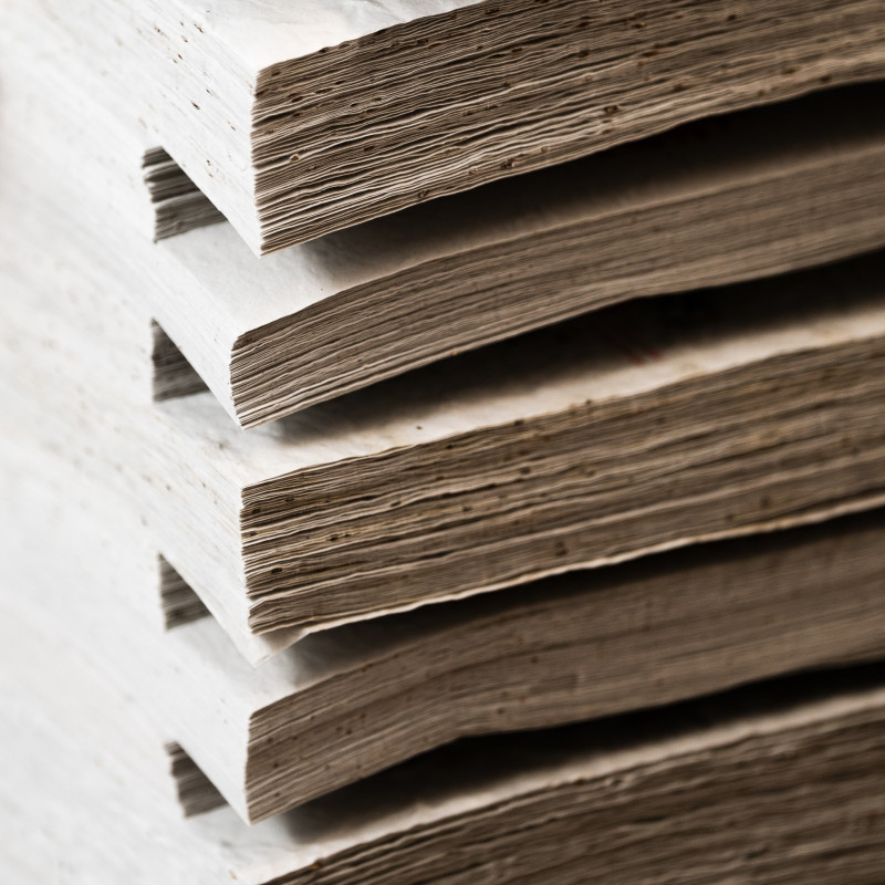 Lot de feuilles de papier ensemencé | Papiefleur, le papier qui fleurit.
