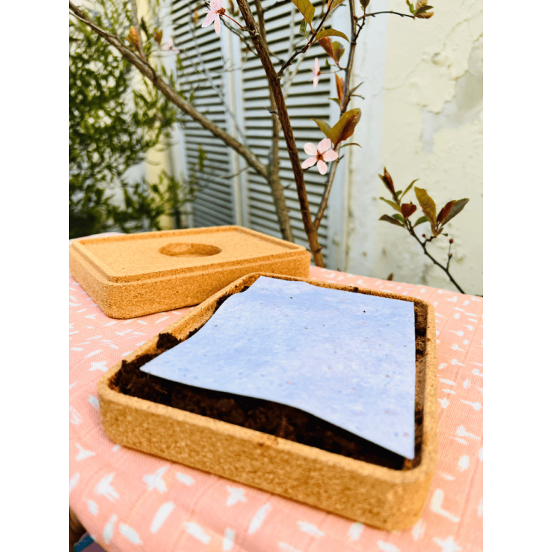 Boîte à germer - lapetiteboîte | Papierfleur.fr, le papier qui fleurit