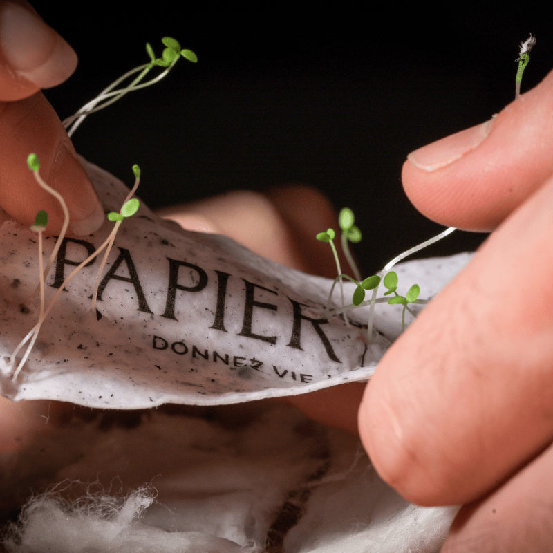 Faire-part "Cœur de fleurs" | Papierfleur, le papier qui fleurit