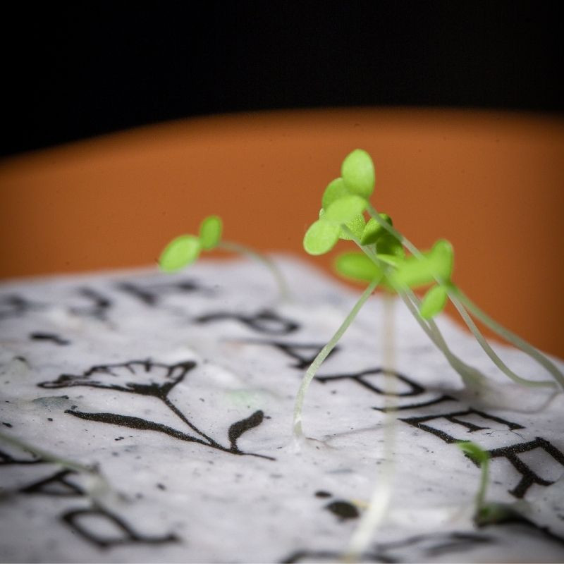 Faire-part "Feuillage" | Papierfleur, le papier qui fleurit