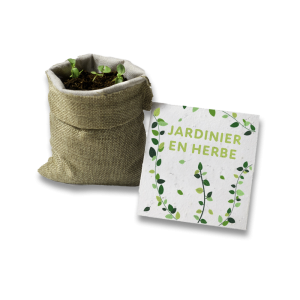Kits à planter