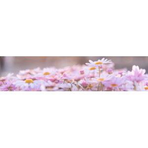 Mots qui fleurissent